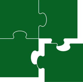 Solving the Sales Puzzle